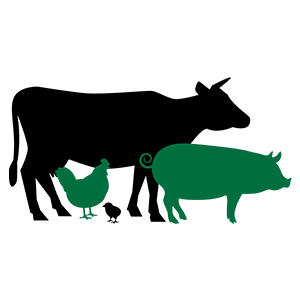 zywienie-zwierzat-etos